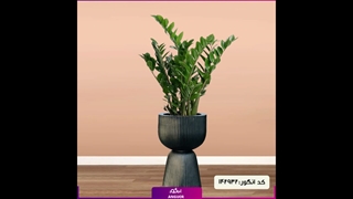سفارش گل برای خانه جدید
