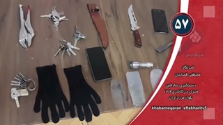 سارقین منزل