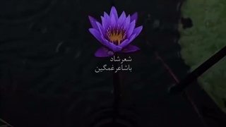 بیاین برام یادگاری بنویسین :) کپ