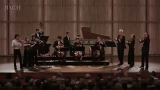 Bach - Brandenburg Copncerto No. 3 in G Major, BWV 1048 Allegro