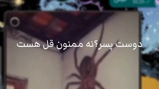 نه ممنون قل هست/کپپپپپپپپپپ