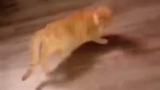 تقدیم ب شوالیه سیاه سفیدمممممممممم تولدت مبارک باشه بچهههههههههههههه