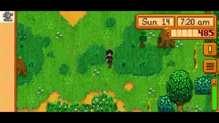 Stardew Valley 2 R_H Binshun