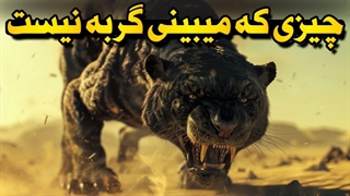 هر بار که دنیا یه گربه ی عجیب ساخت!