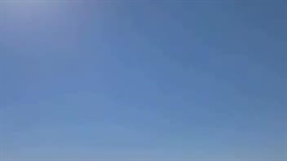 عبور گله آهو از میان شهروندان در شاهرود
