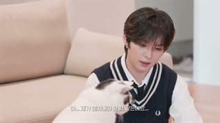 برنامه life with cats با حضور لینو با زیرنویس فارسی