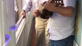 غزلخوانی استاد ایرج خواجه امیری فقید با تار مهدی گوهری در قطار تهران به مشهد