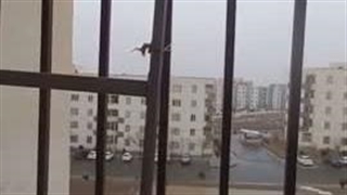 تعمیر پکیج شهریار پرند