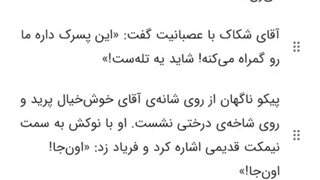کلاه منو کی برد؟ قسمت چهارم فصل دوم : تعقیب در پارک