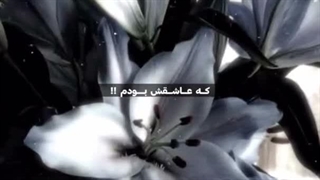 زادروز نقره‌ای؛