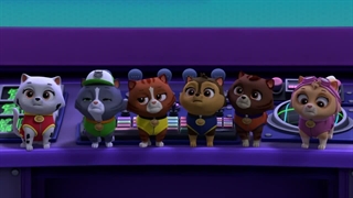 Paw Patrol - Pups and Katie Stop the Barking Kitty Crew