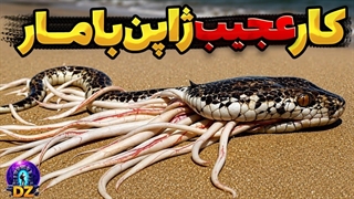 ژاپن ۲۳۰۰۰ قاتل جدید برای شکار مارهای سمی آزاد کرد؛ نتیجه‌ای که بعد از ۴ سال همه را شوکه کرد