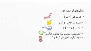 معرفی نهال آلو قطره طلا| قیمت + شرایط کاشت