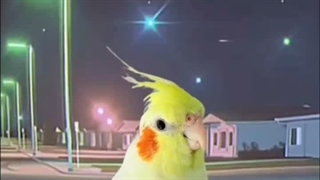 یادته منو کشتی؟