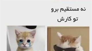 حتماً ببینید:D