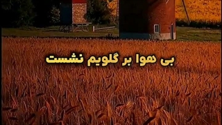 قلبم شکست