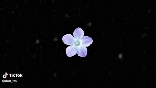 گل های سیدراما
