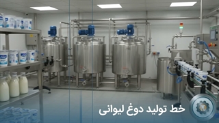 ساخت خط تولید دوغ
