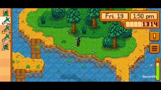 Stardew Valley 5 R_H Binshun