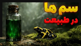 قوی ترین سم ها / دوز مرز بین دارو و زهر!