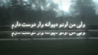 خواستین کپ