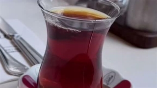 جغد ها هستین حرف بزنیم؟...