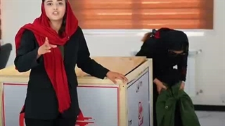 بردن ۱۱ تا چمدون در یک پالت به آلمان