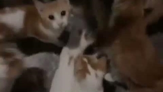 بهشت منم هس(×~×)