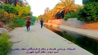 تمرینات ورزشی سعید رحیمی ور_دویدن با اسب