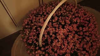 یکی بیاد بگه امروز نما چخبر بوده .