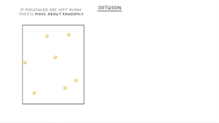 Diffusion