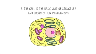 Histoy of cells
