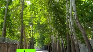 کتاب قدرت شروع ناقص