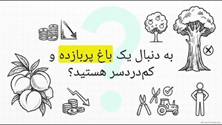 خرید نهال هلو مخملی+ بررسی شرایط کاشت و نگهداری
