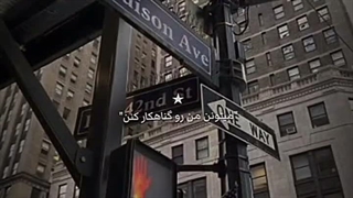 صاحب خاطرات؛