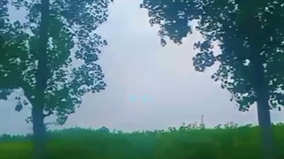 دلم براتون تنگ شده بود ولی جدی نت کار نمی‌کرد⁦ಥ╭╮ಥ⁩