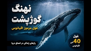 نهنگ گوژپشت؛ غول شگفت انگیز اقیانوس