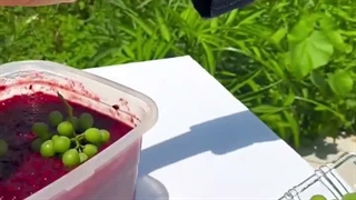 تبریک میگم پس فردا باید برید مدرسه:)