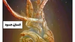 برخلاف خیلیا که از مدرسه رفتن ناراحتن من خوشحالم...یکی از دلایلش اینه که مدرسم رو عوض کردم و دانش آموزای جدیدی قراره ببینم