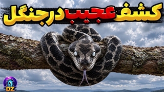 چرا هیچ انسانی جرأت ورود به این نقطه از زمین را ندارد؟ کنگوی عمیق همه را شوکه کرد