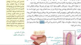 بسیاری جمع بندی زیست حضوری و آنلاین  #رمزیست  .برای مشاوره و ثبت نام کلاس های زیست پیامک  به شماره 09149285452