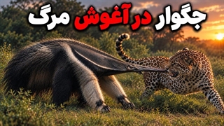 حیوانی که جگوارها را سلاخی می کند
