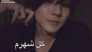 شیپ کنیم حتی به غلط