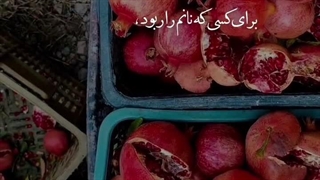 انار صبح