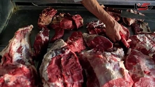 فروش گوشت سگ در قصابی‌های تهران؛ فروشندگان اعدام شدند
