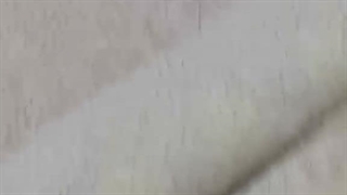شرکت سمپاشی ساس در تهران (سمپاش باشی
