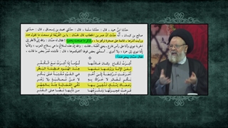 نسب معاویه