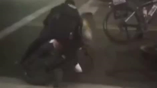 فاحشه های زن زندگی آزادی کجان؟!...کجان اونایکه بخاطر یه زن کل کشور رو به آتیش کشیدن