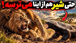 چطور یه خار، سرنوشت سلطان جنگل تغییر داد؟
