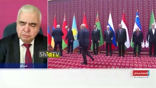 روایت جالب تحلیلگر روسی از دیدار پزشکیان و پوتین
